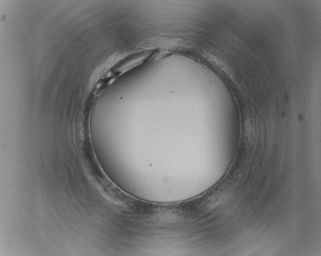 X0000061730682200512231435