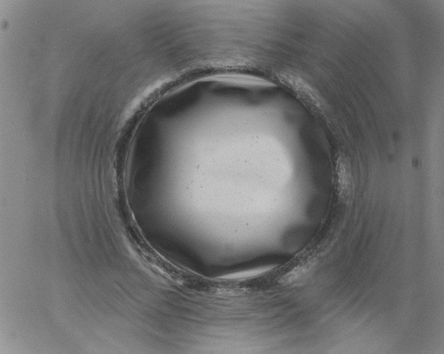 X0000061730684200512231435