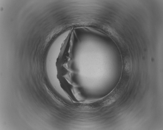 X0000061730685200512231435