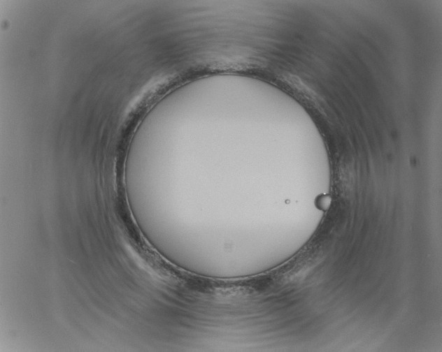 X0000061730686200512231435