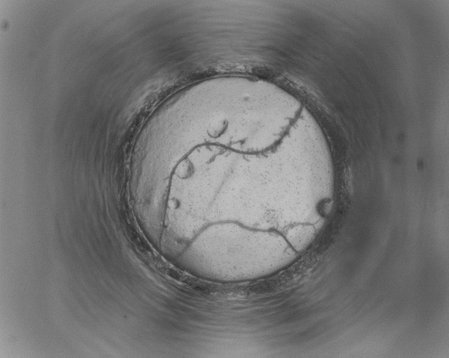 X0000061730687200512231435