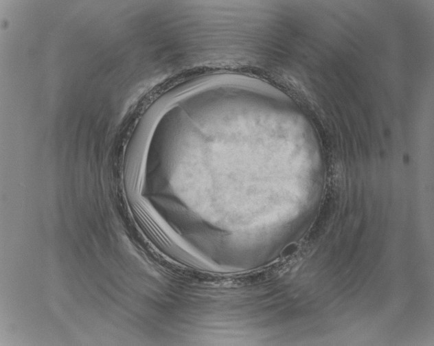 X0000061730688200512231435