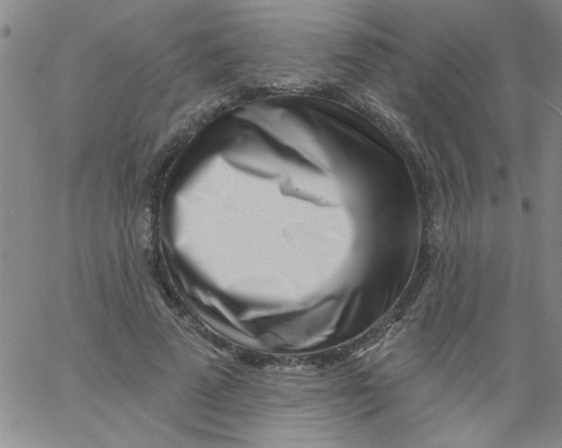 X0000061730689200512231435