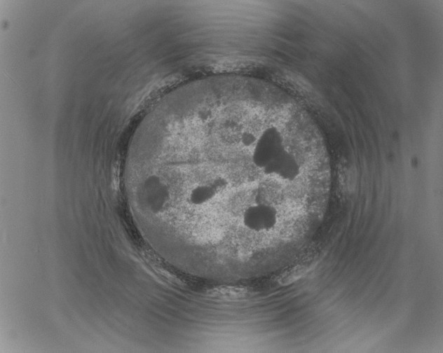 X0000061730691200512231435