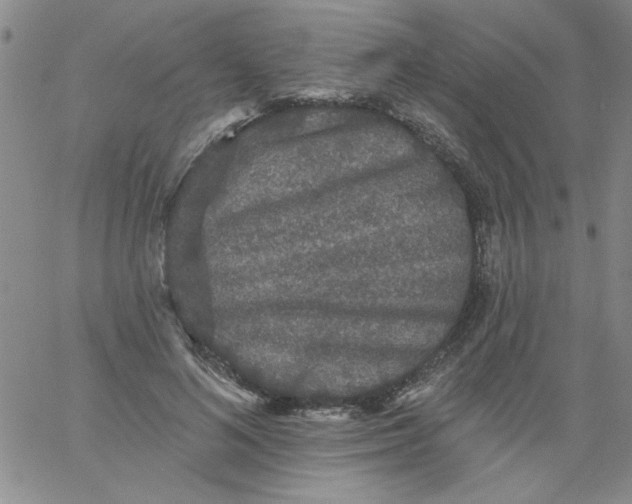 X0000061730692200512231435