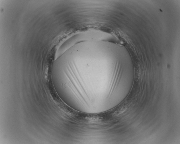 X0000061730693200512231435