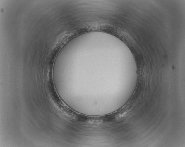 X0000061730694200512231435