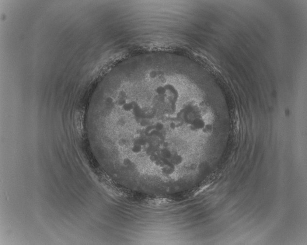 X0000061730695200512231435