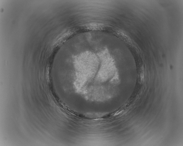 X0000061730696200512231435