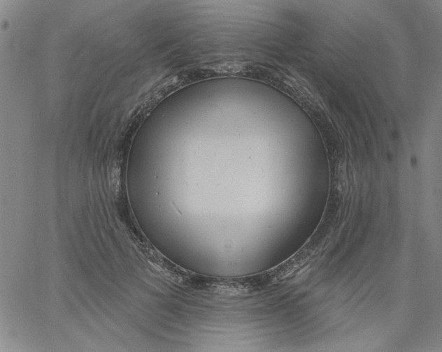 X0000061730697200512231435