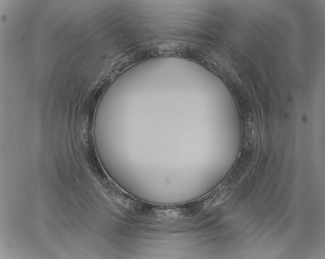 X0000061730698200512231435