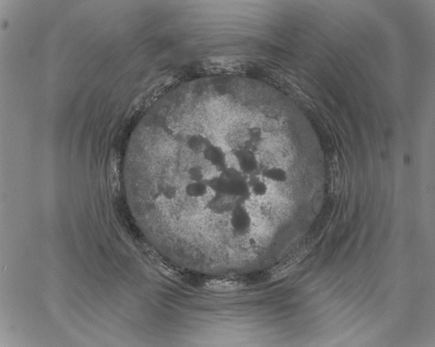 X0000061730699200512231435