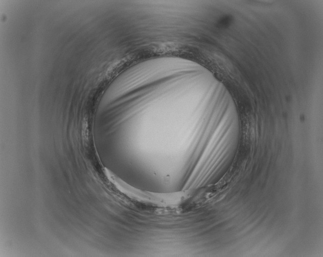 X0000061730700200512231435