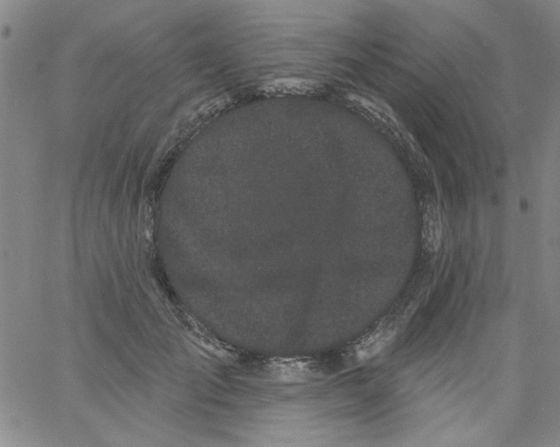 X0000061730701200512231435