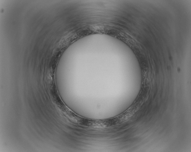 X0000061730702200512231435