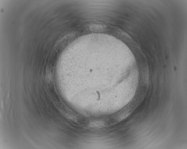 X0000061730705200512231435