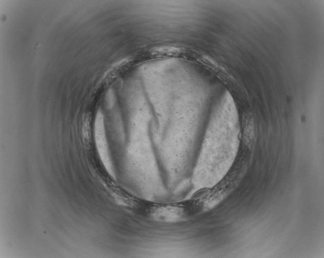 X0000061730708200512231435