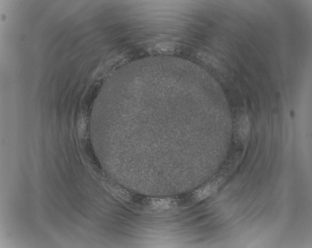 X0000061730709200512231435