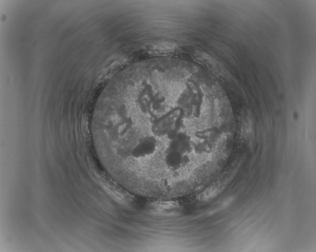 X0000061730711200512231435