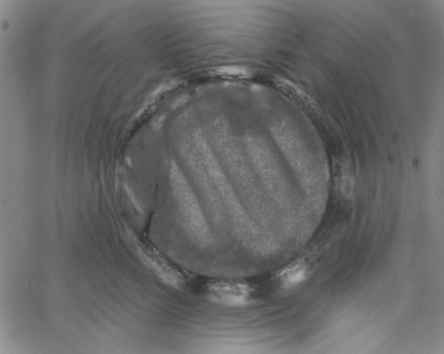 X0000061730712200512231435