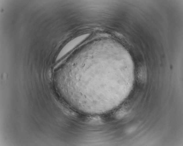 X0000061730715200512231435