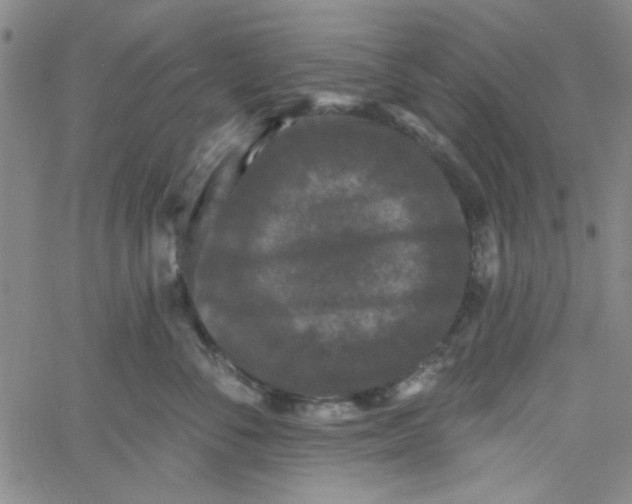 X0000061730716200512231435