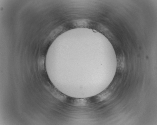 X0000061730717200512231434