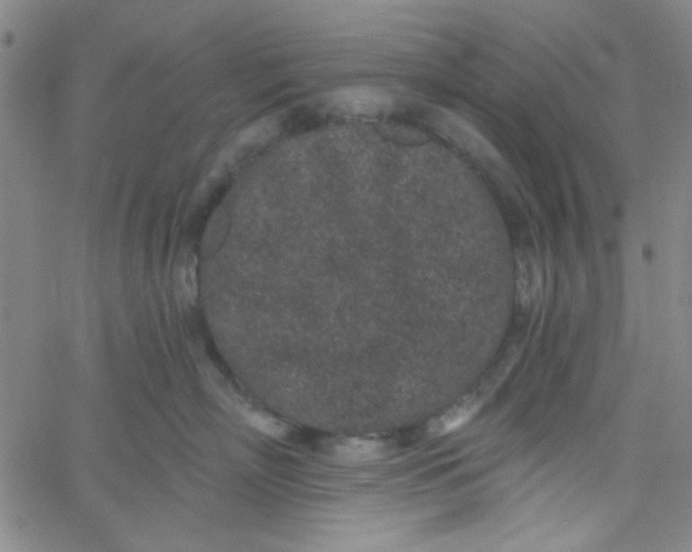 X0000061730718200512231434