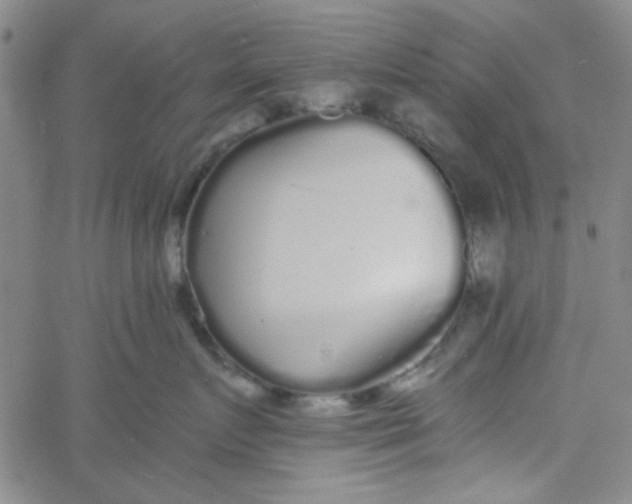 X0000061730719200512231434