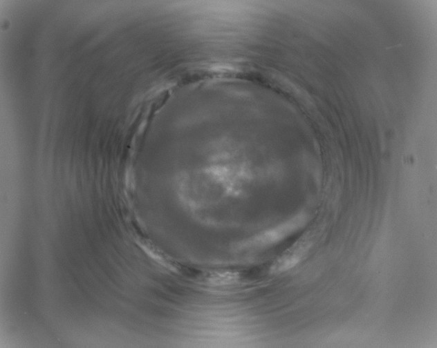 X0000061730720200512231434