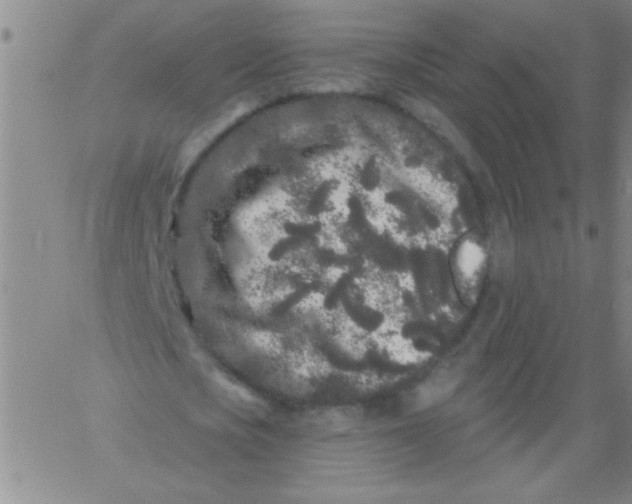 X0000061730721200512231434