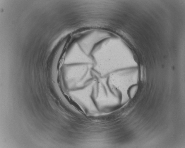 X0000061730723200512231434