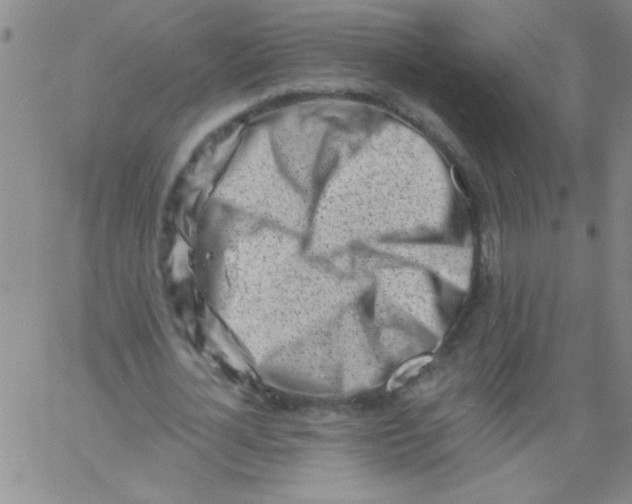 X0000061730724200512231434