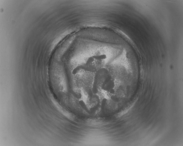 X0000061730725200512231434