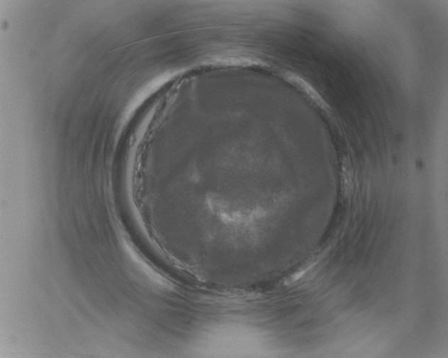 X0000061730726200512231434