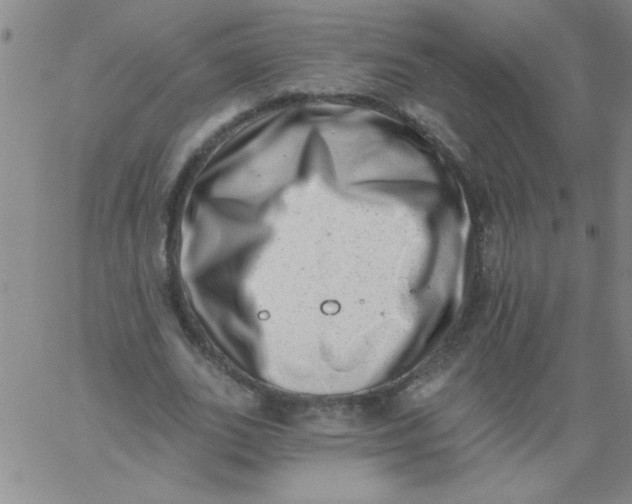 X0000061730727200512231434