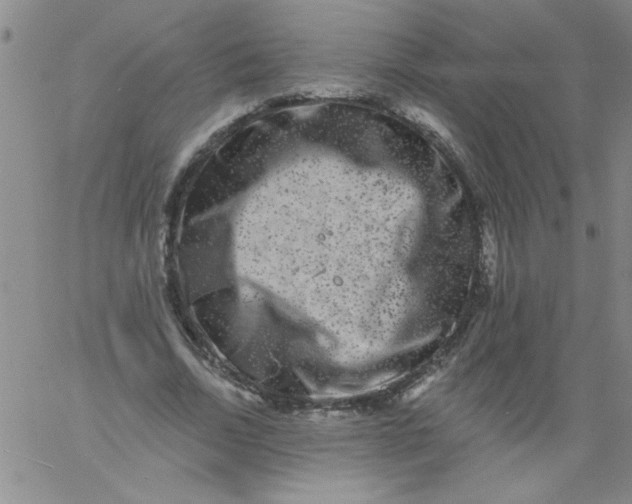 X0000061730730200512231434