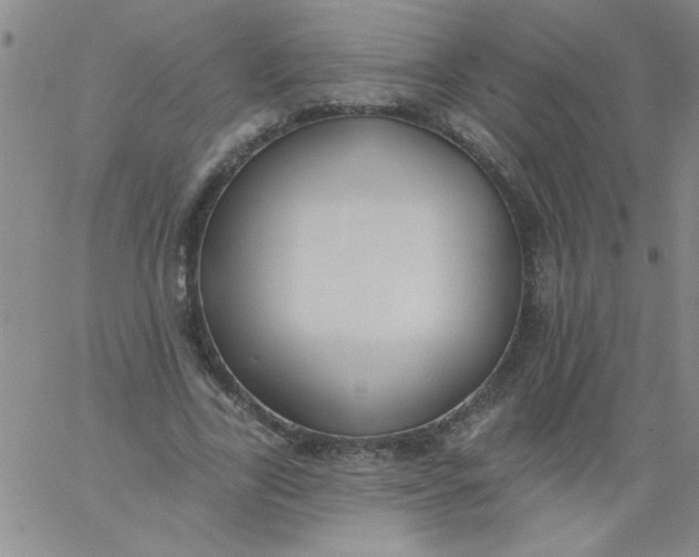 X0000061730731200512231434