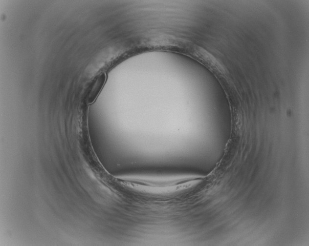 X0000061730732200512231434