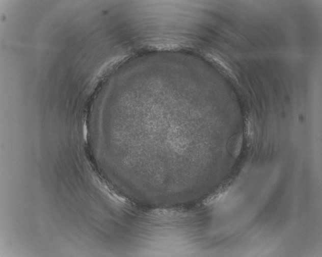 X0000061730733200512231434