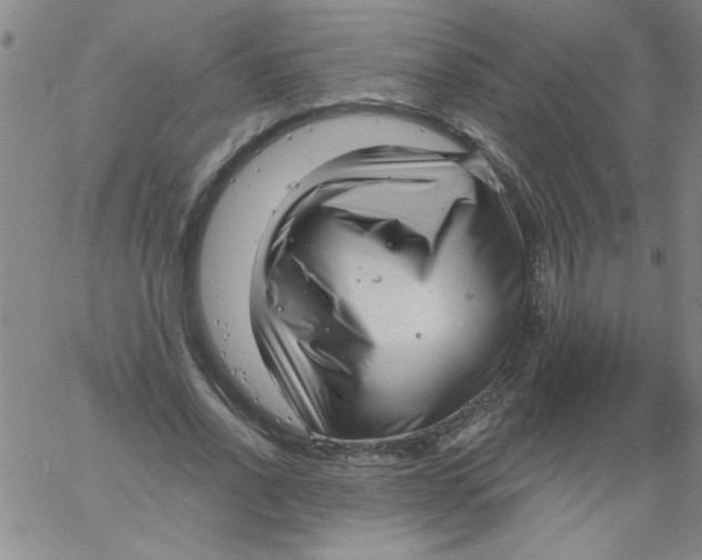 X0000061730734200512231434