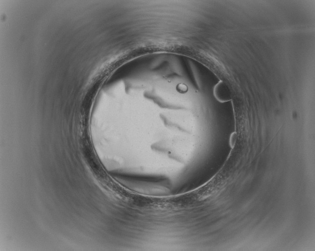 X0000061730736200512231434