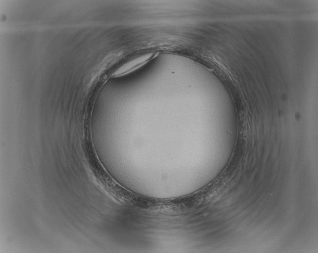 X0000061730738200512231434