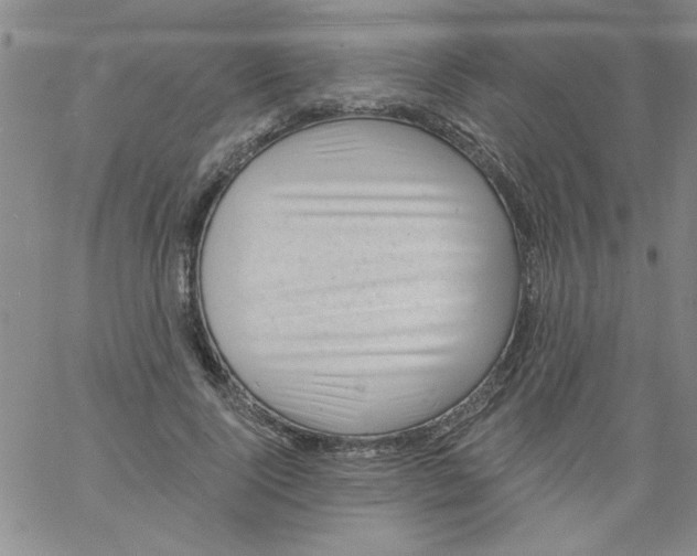 X0000061730740200512231434