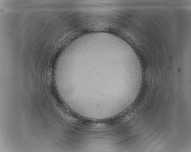 X0000061730741200512231434