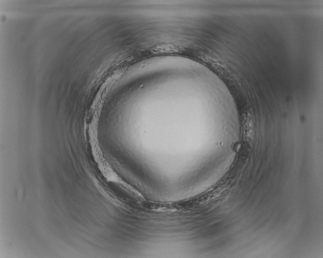 X0000061730742200512231434