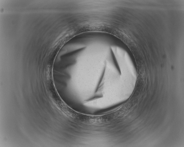 X0000061730744200512231434