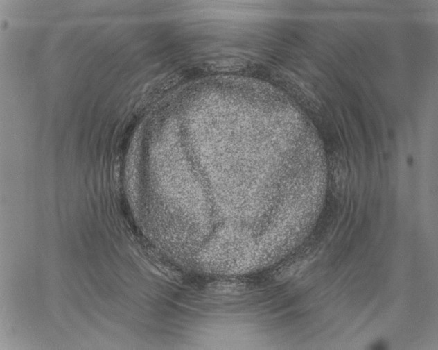 X0000061730745200512231434