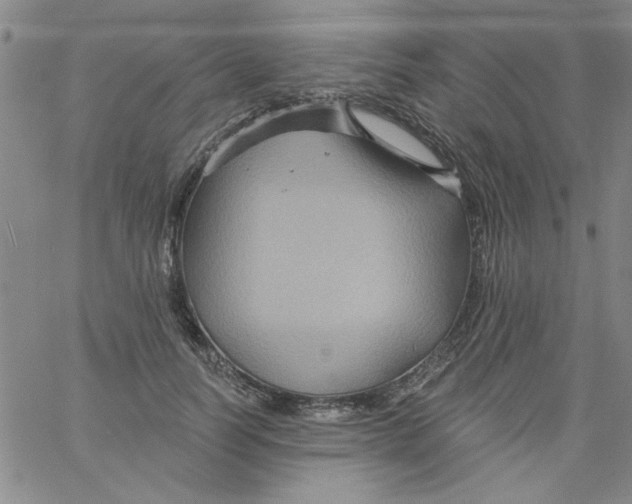 X0000061730746200512231434