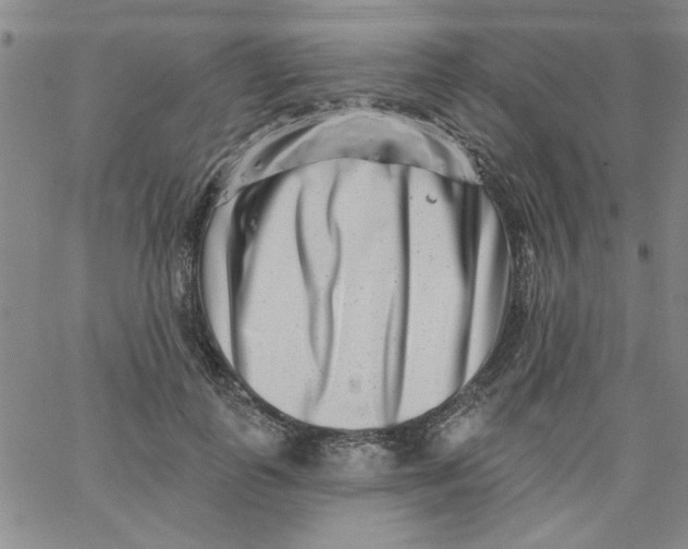 X0000061730747200512231434